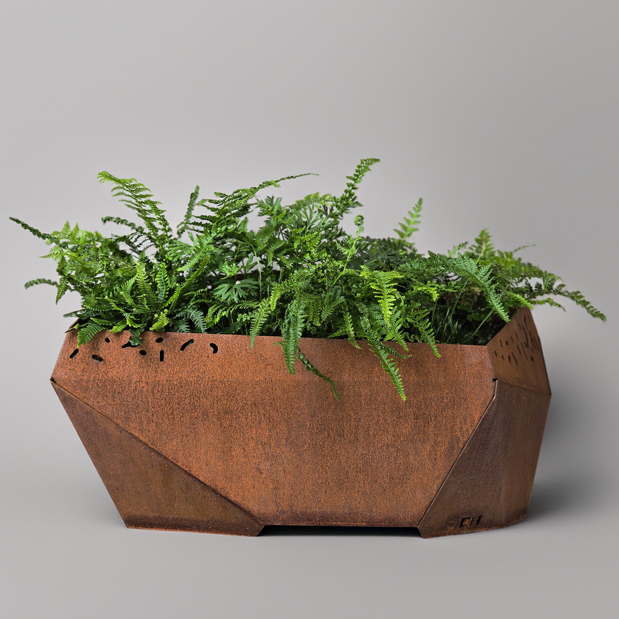 VESSL 1 - bred cortenkruka med Skärm